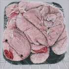 Birgit Dehn Fotorealistische Malerei - Wa(h)re Liebe, Schweinchen
